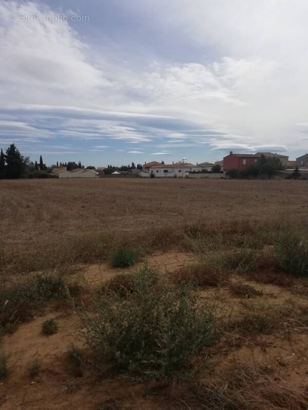 Terrain à LIGNAN-SUR-ORB