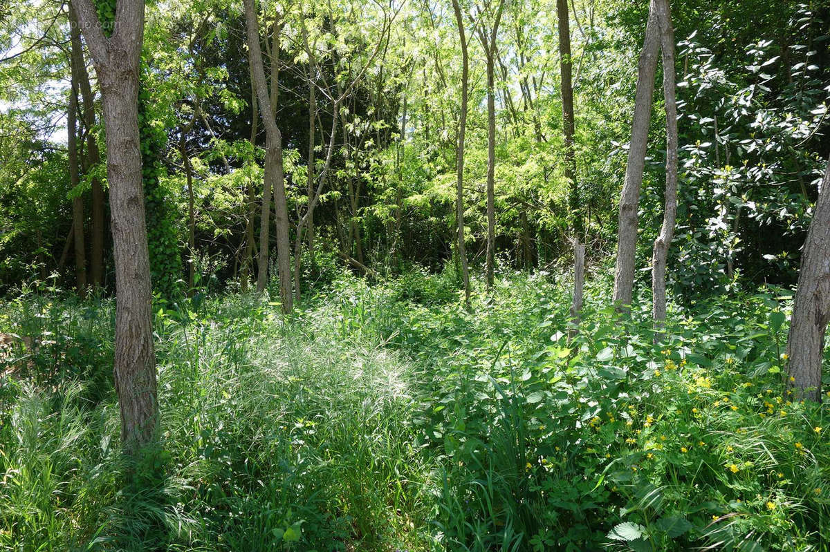 Terrain à SAINT-CHRISTOLY-DE-BLAYE