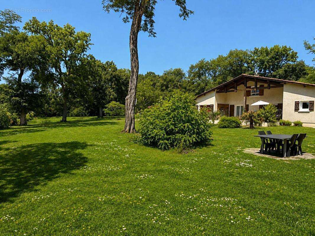 Maison Vielle-soubiran 8 pièce(s) 211 m2 - photo 3