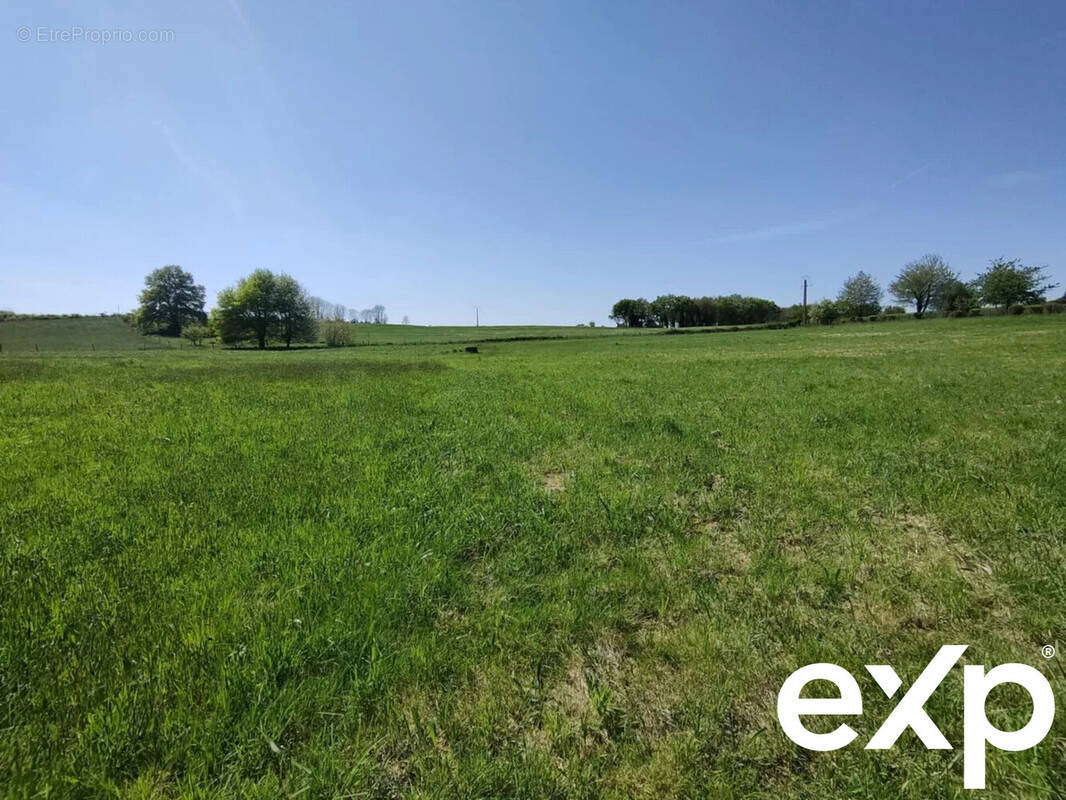 Terrain à NEXON