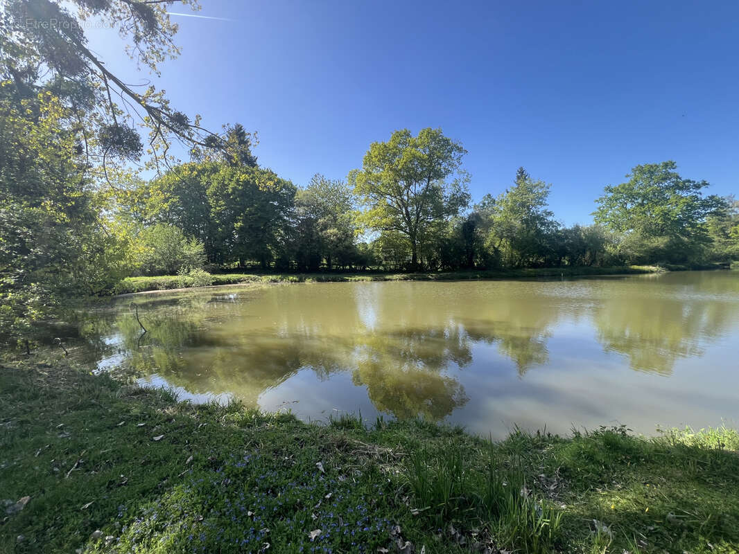 Etang avec terrain viabilise - photo 15