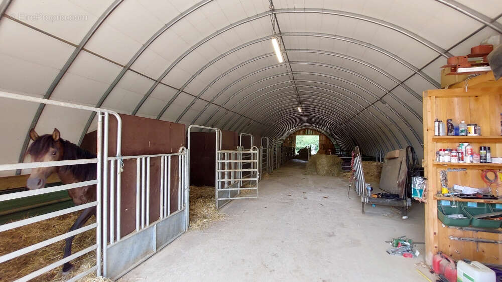 Propriété equestre  de 26.6 hectares avec 2 bâtiments et partie habitation de 370m2 - photo 7