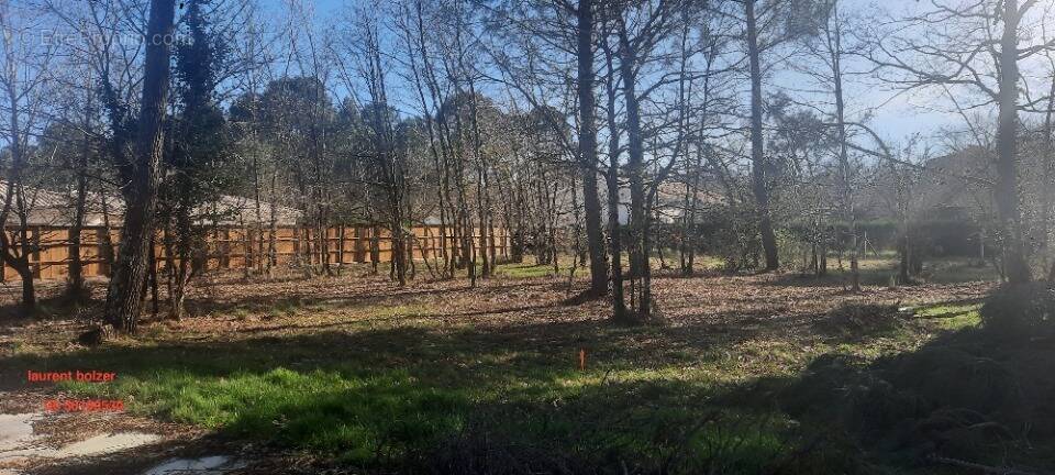 Terrain à GUJAN-MESTRAS