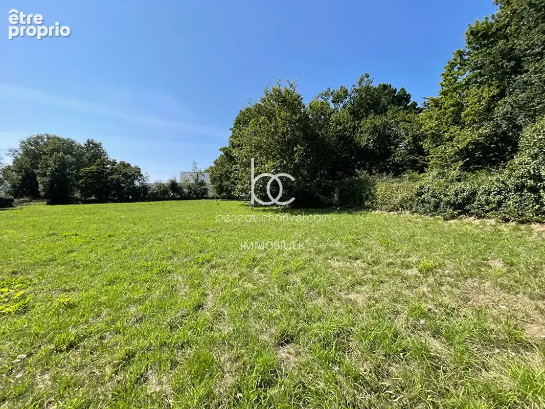 Terrain à SARZEAU