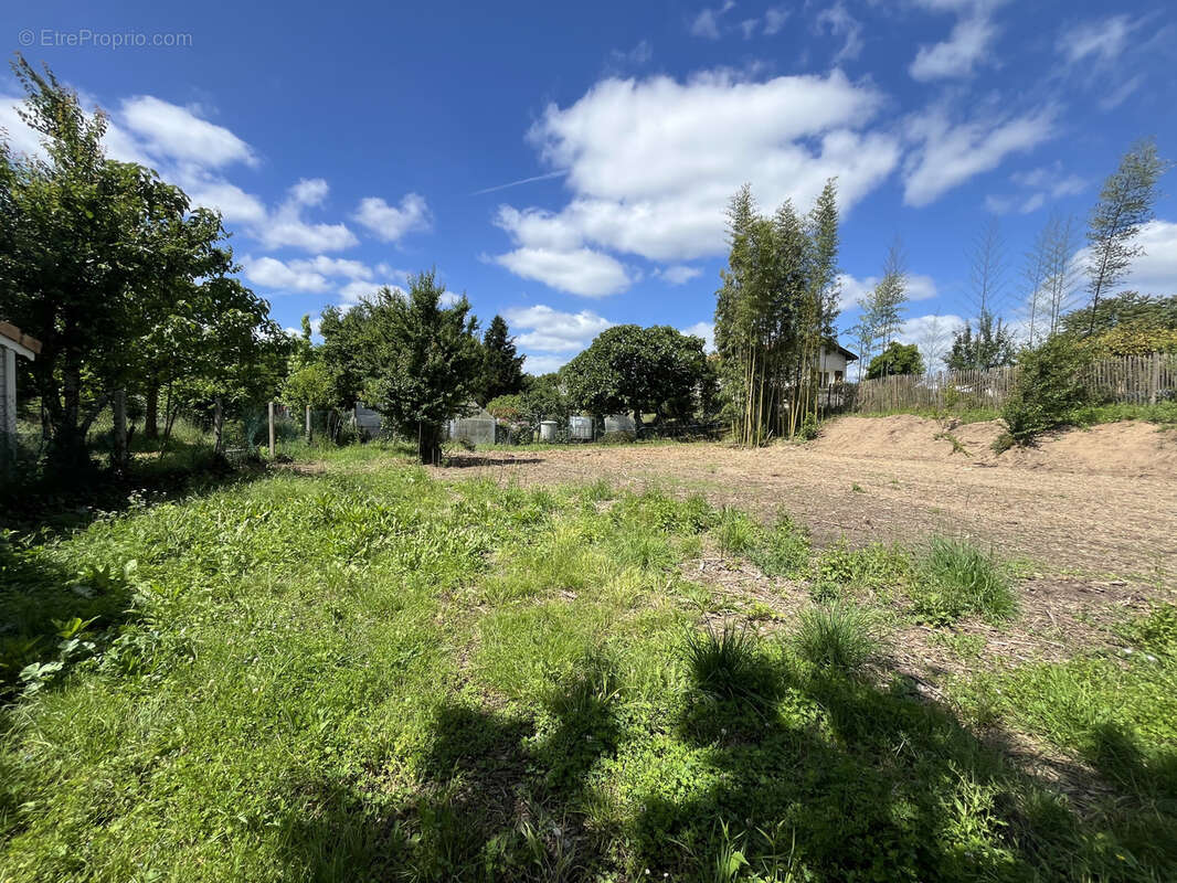 Terrain à CERONS