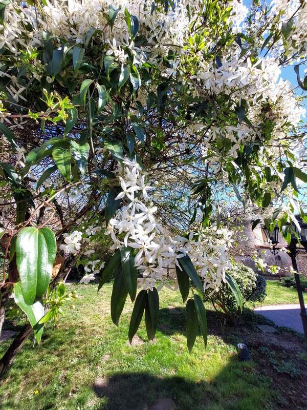 Maison à AINAY-LE-CHATEAU
