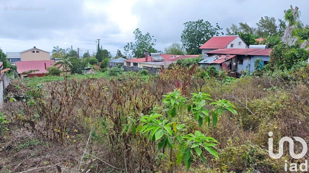 Photo 2 - Terrain à LE TAMPON