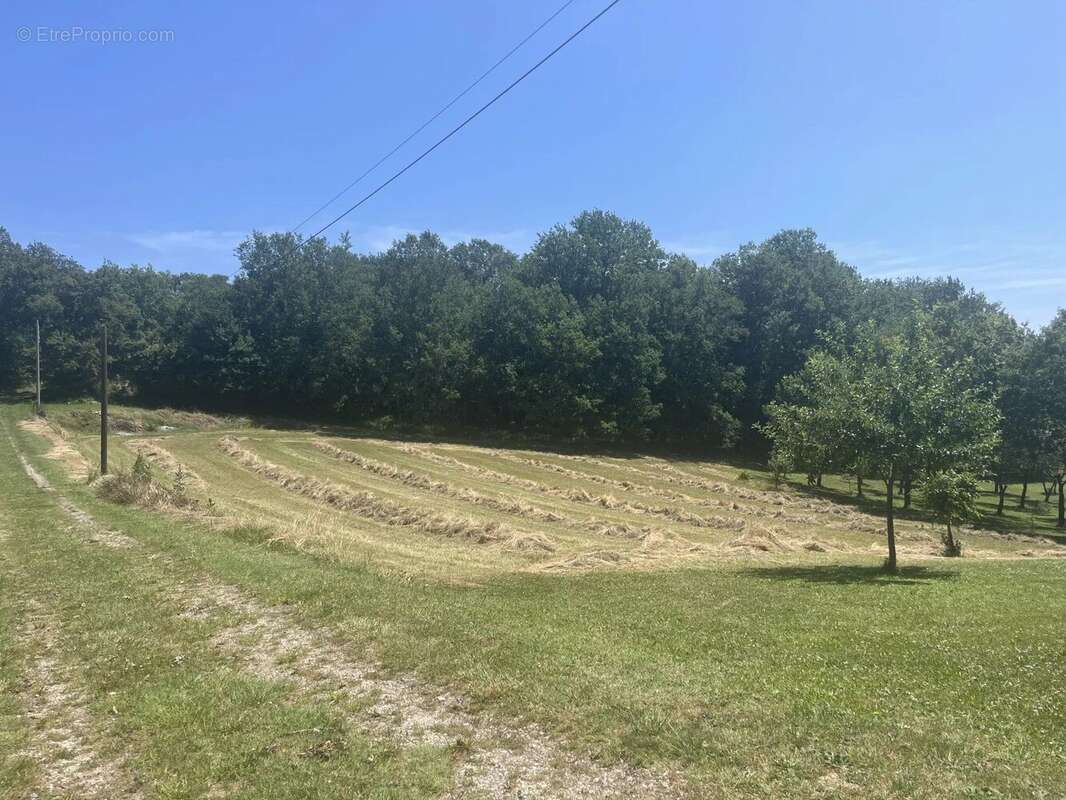 Terrain à COUX-ET-BIGAROQUE