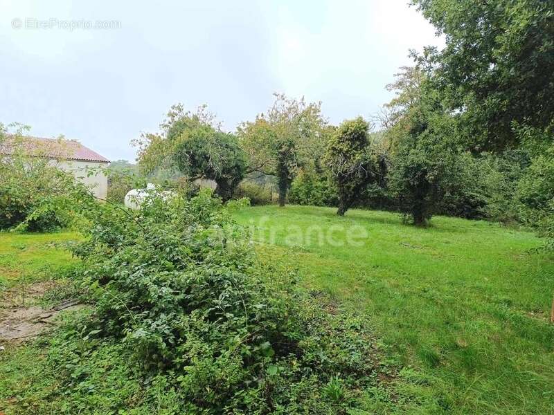 Maison à LES BORDES