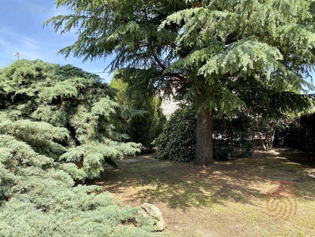 Maison à PUISSERGUIER