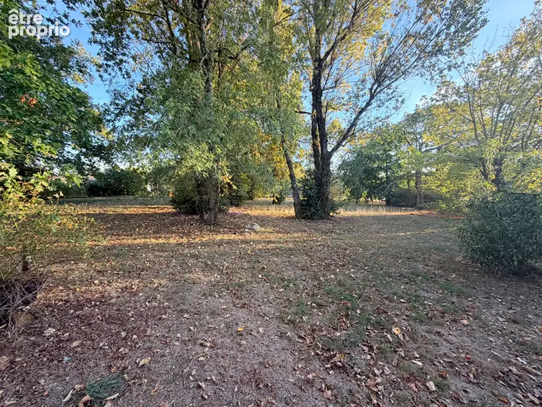 Photo Terrain à Leognan au prix de 233 200€