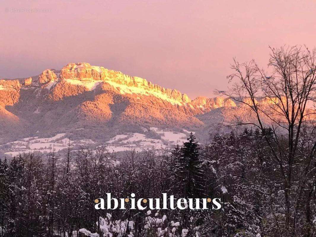 Maison à CHARVONNEX