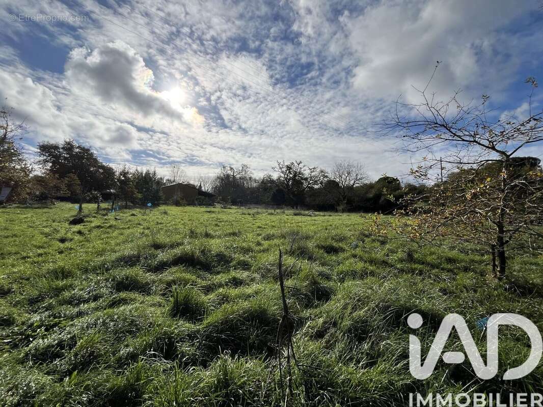 Photo 4 - Terrain à EAUZE