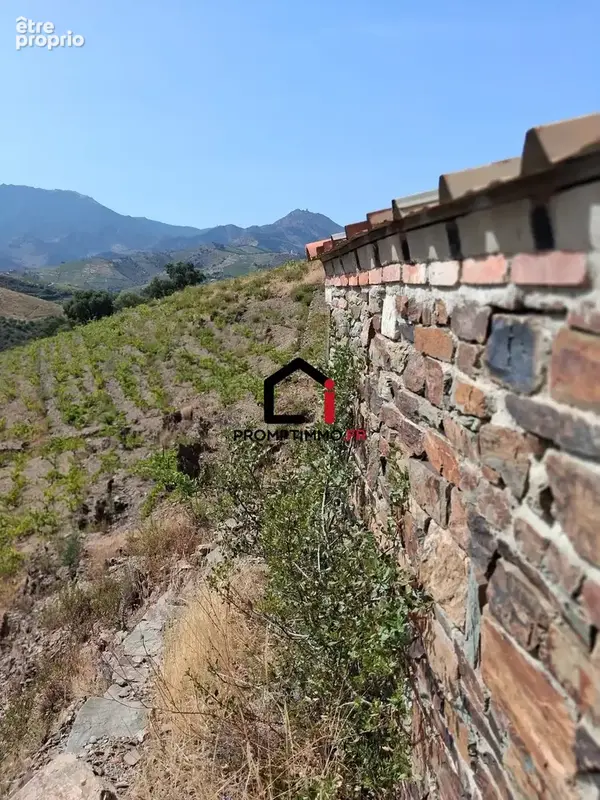Terrain 7859 m² à Banyuls-Sur-Mer  - photo 4