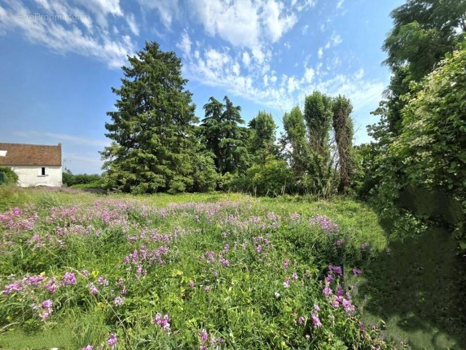 Terrain à EPIAIS-RHUS