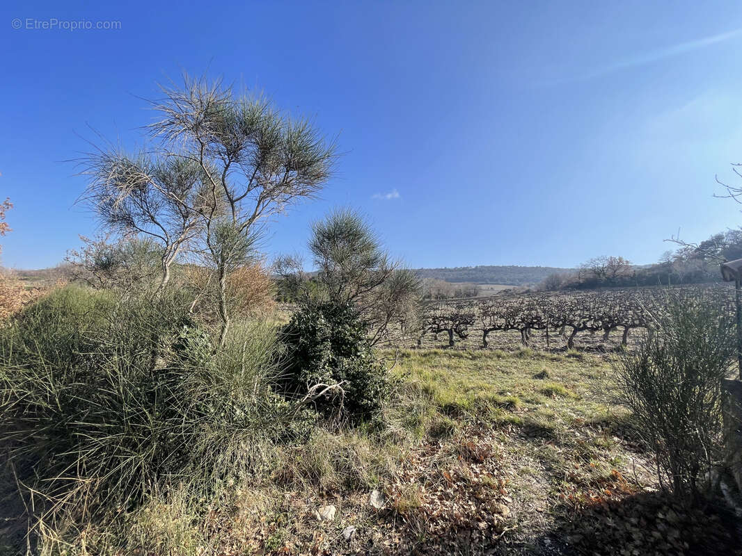 Maison à SAINT-ROMAN-DE-MALEGARDE
