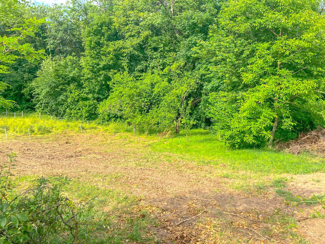 Terrain à VARCES-ALLIERES-ET-RISSET