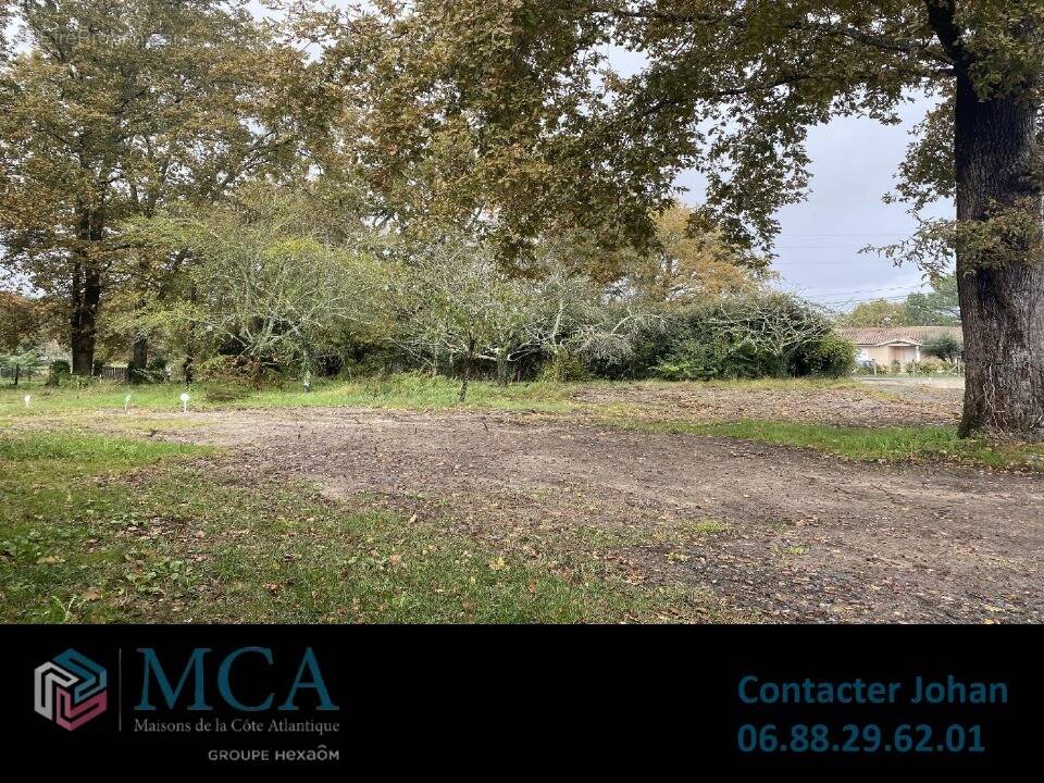 Terrain à SANGUINET