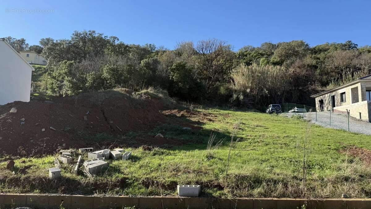 Terrain à POGGIO-MEZZANA