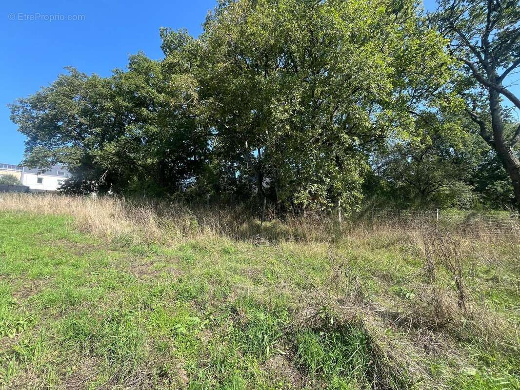 Photo 3 - Terrain à CARQUEFOU