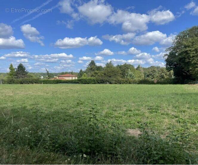 Terrain à VERNEUIL-SUR-VIENNE