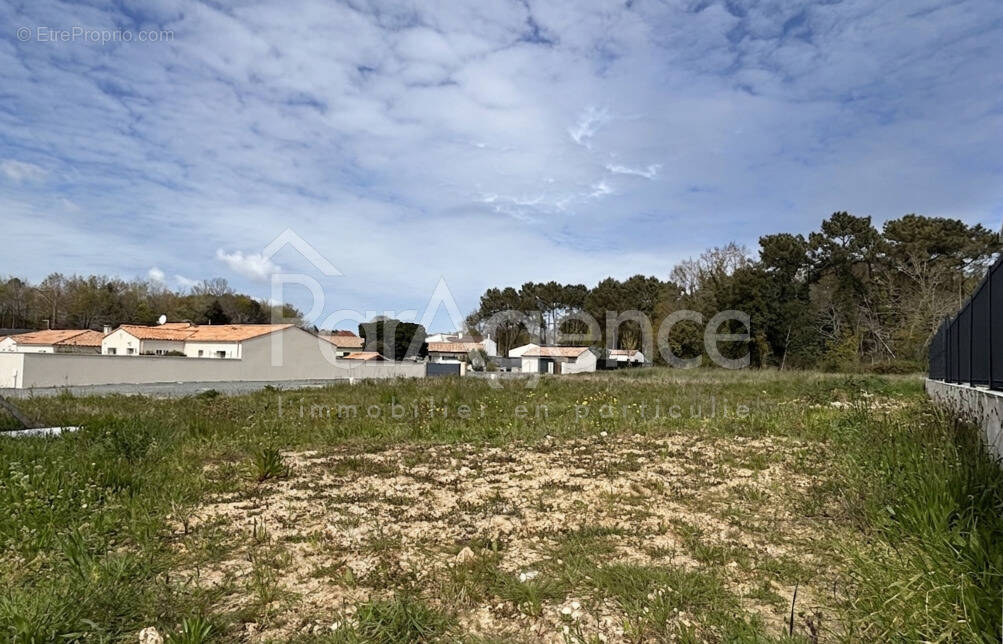 Terrain à LES MATHES