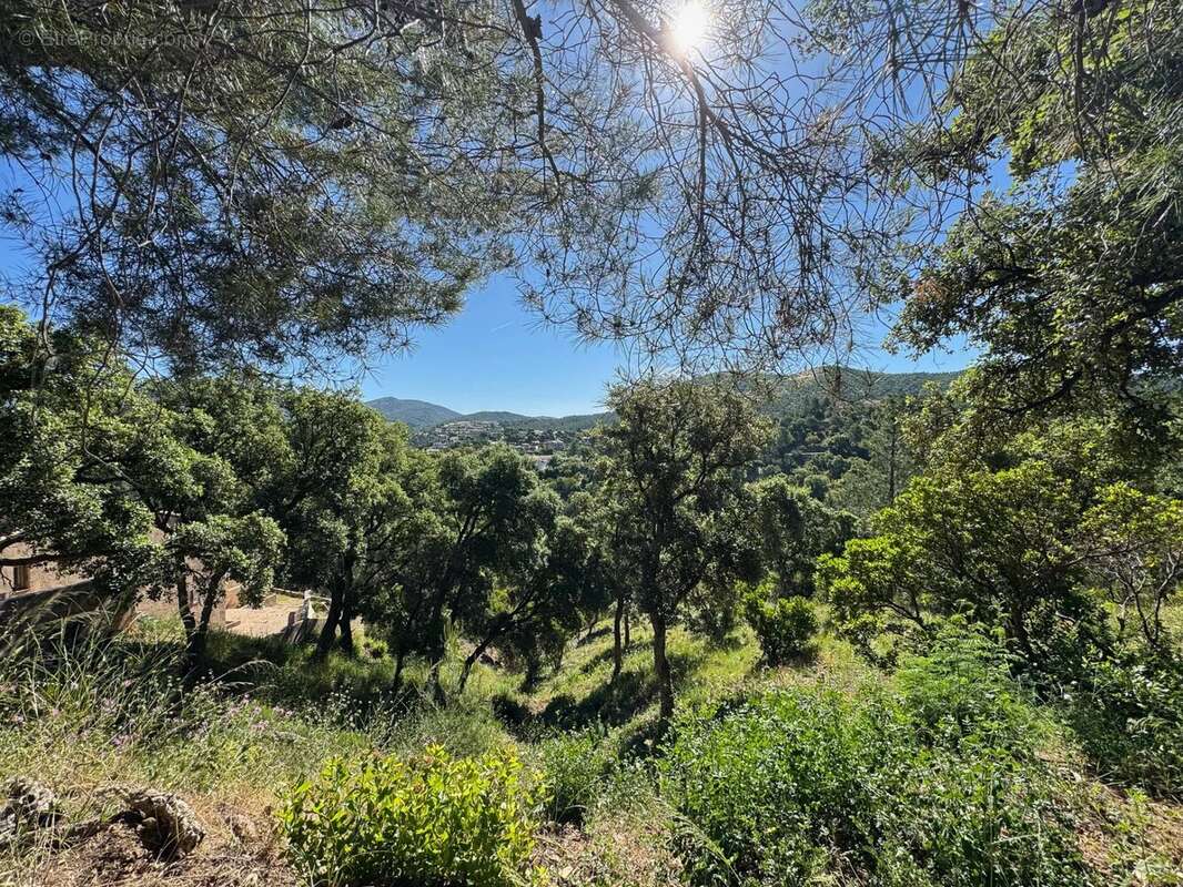 Terrain à LA LONDE-LES-MAURES