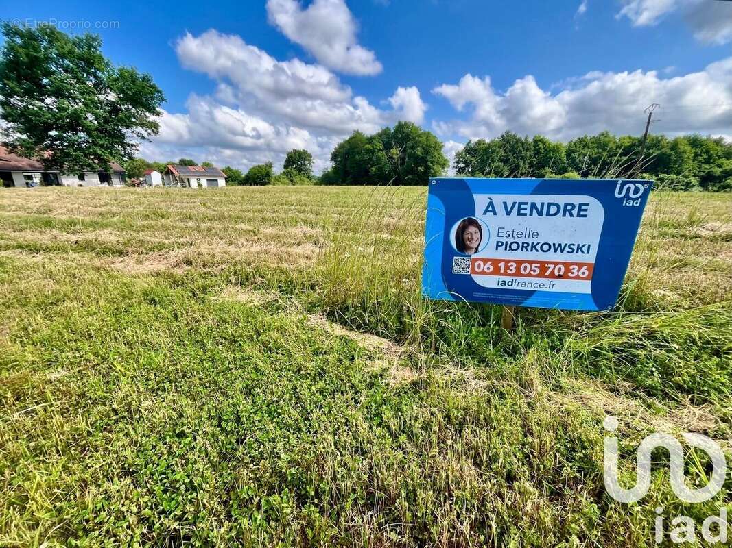 Photo 2 - Terrain à SAULT-DE-NAVAILLES