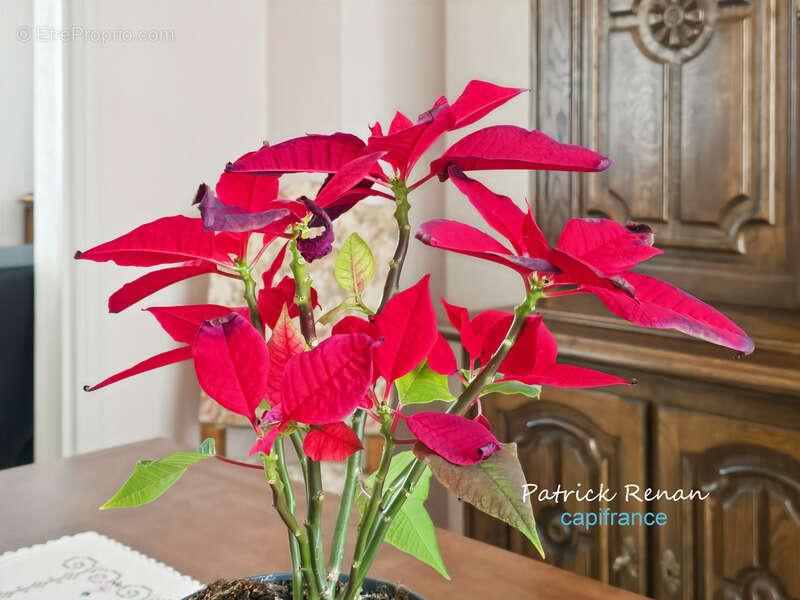 Maison à SAINT-CYR-L'ECOLE