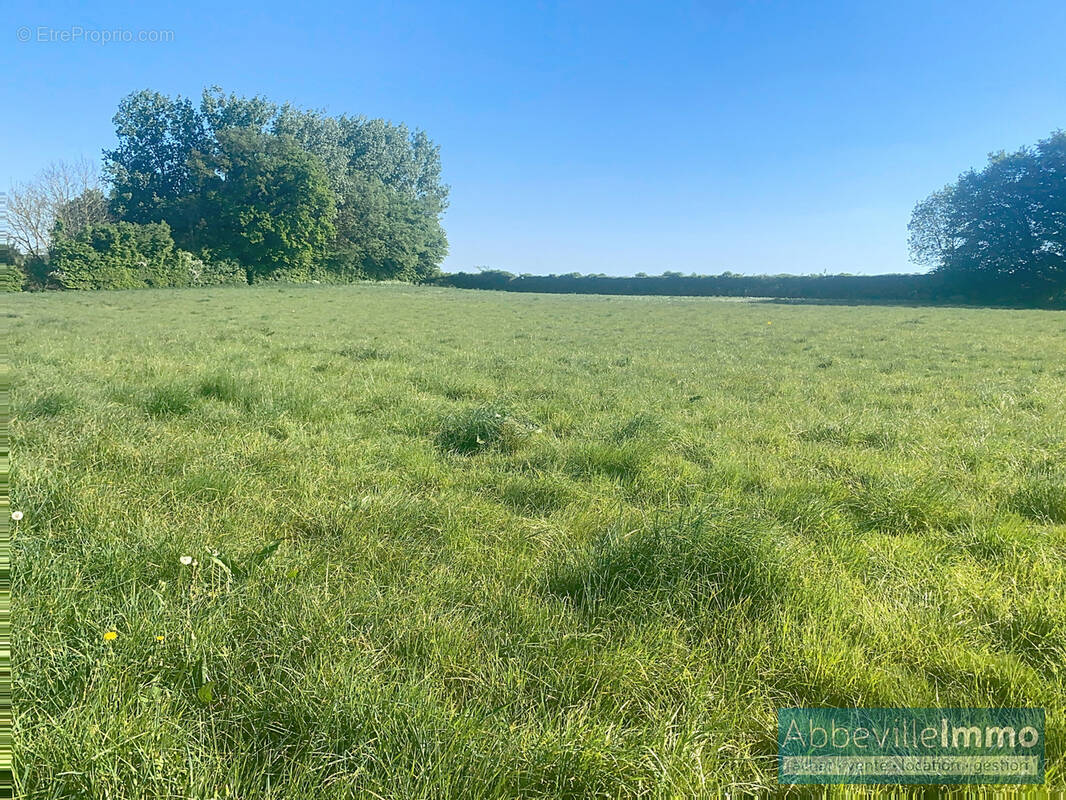 Terrain à CRECY-EN-PONTHIEU