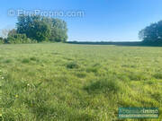 Terrain à CRECY-EN-PONTHIEU