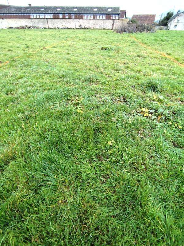 Commerce à CHARTRES