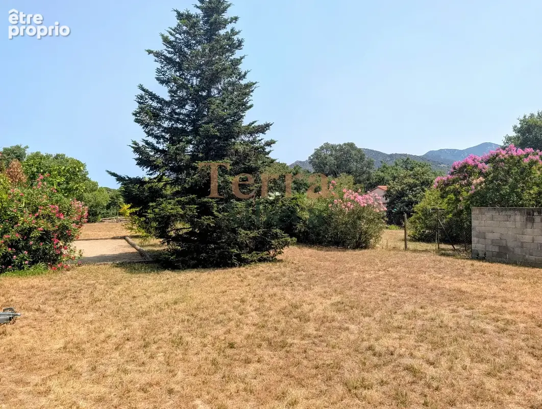 Laroque des Albères - Beau Terrain constructible hors lotissement viabilisé - photo 2
