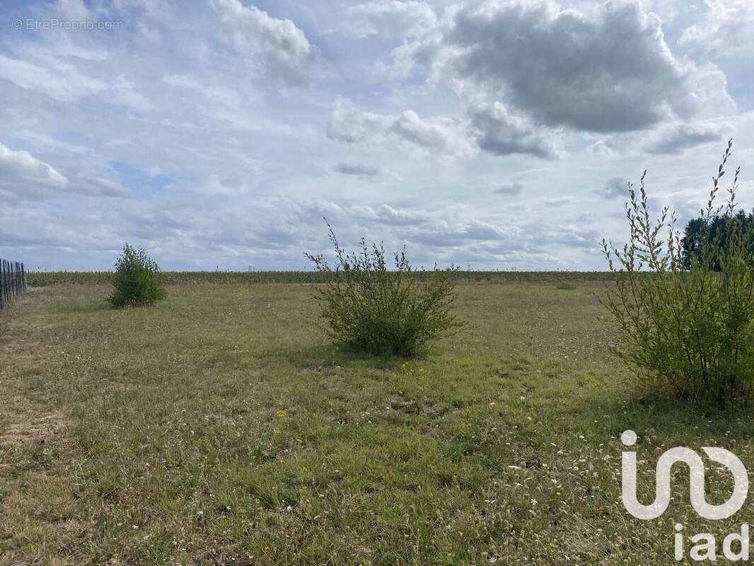 Terrain 1500 m² à Saint-Bohaire  - photo 4