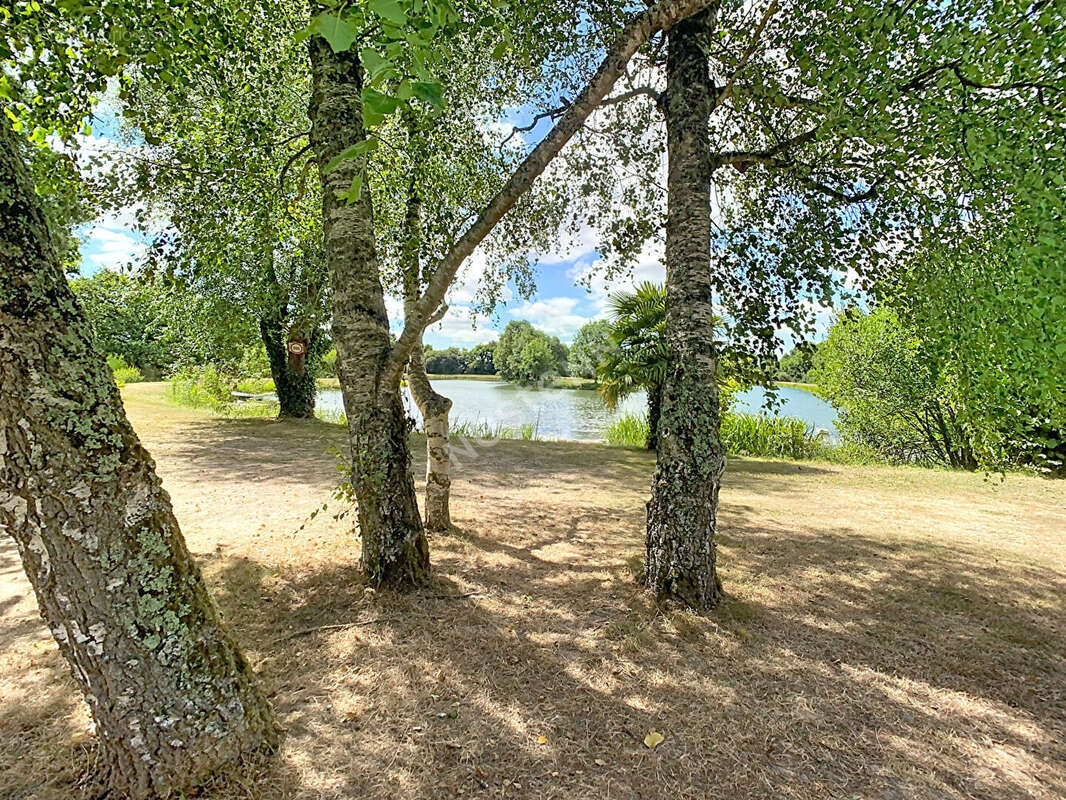 Rare sur le secteur ? Magnifique terrain de loisirs de plus de 2 hectares avec étang ! - photo 4