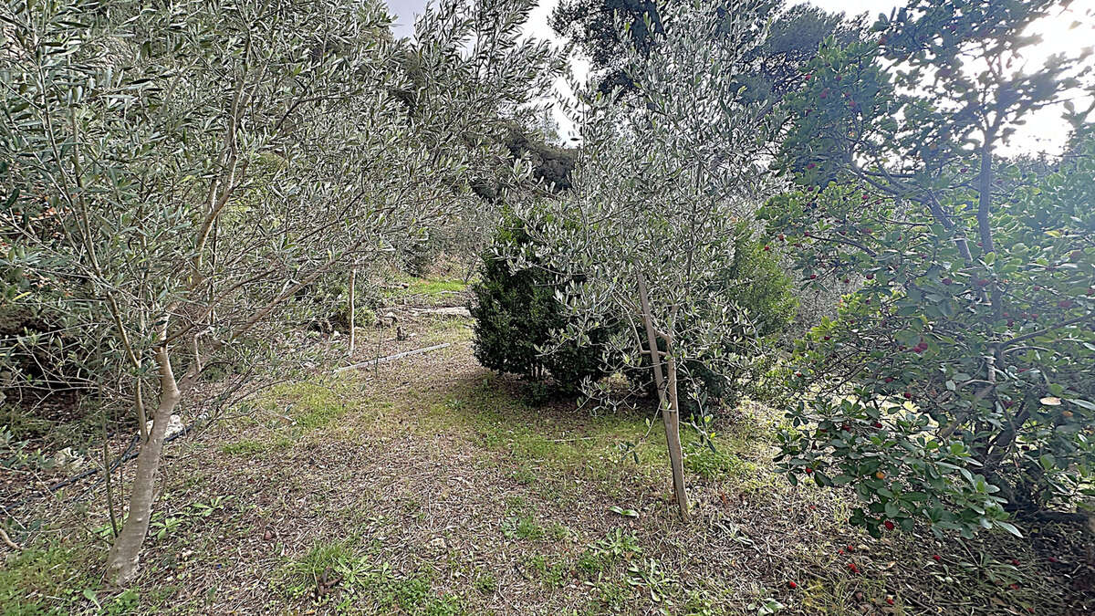 Maison à PELISSANNE