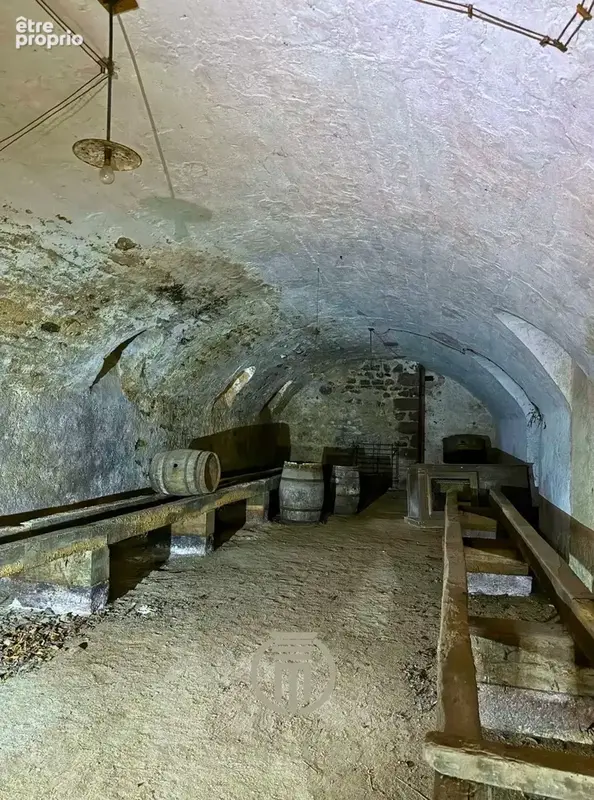 Domaine d’exception avec château et nombreuses dépendances sur 13 hectares   Gros œuvre rénové - photo 12