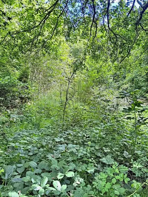 Exclusivite - cossesseville - terrain de loisirs - photo 11