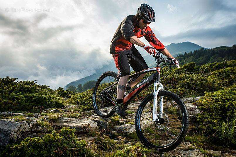 Commerce à SELONNET