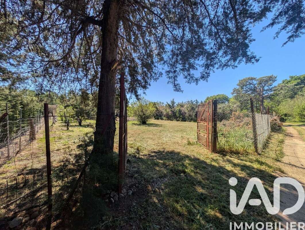 Photo 3 - Terrain à LE SOLER