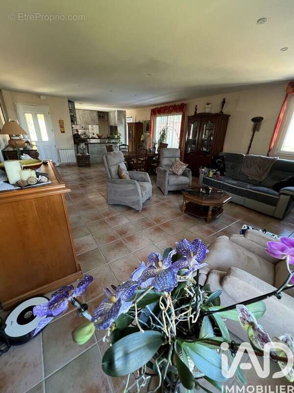 Photo 6 - Maison à SALLES-D'AUDE