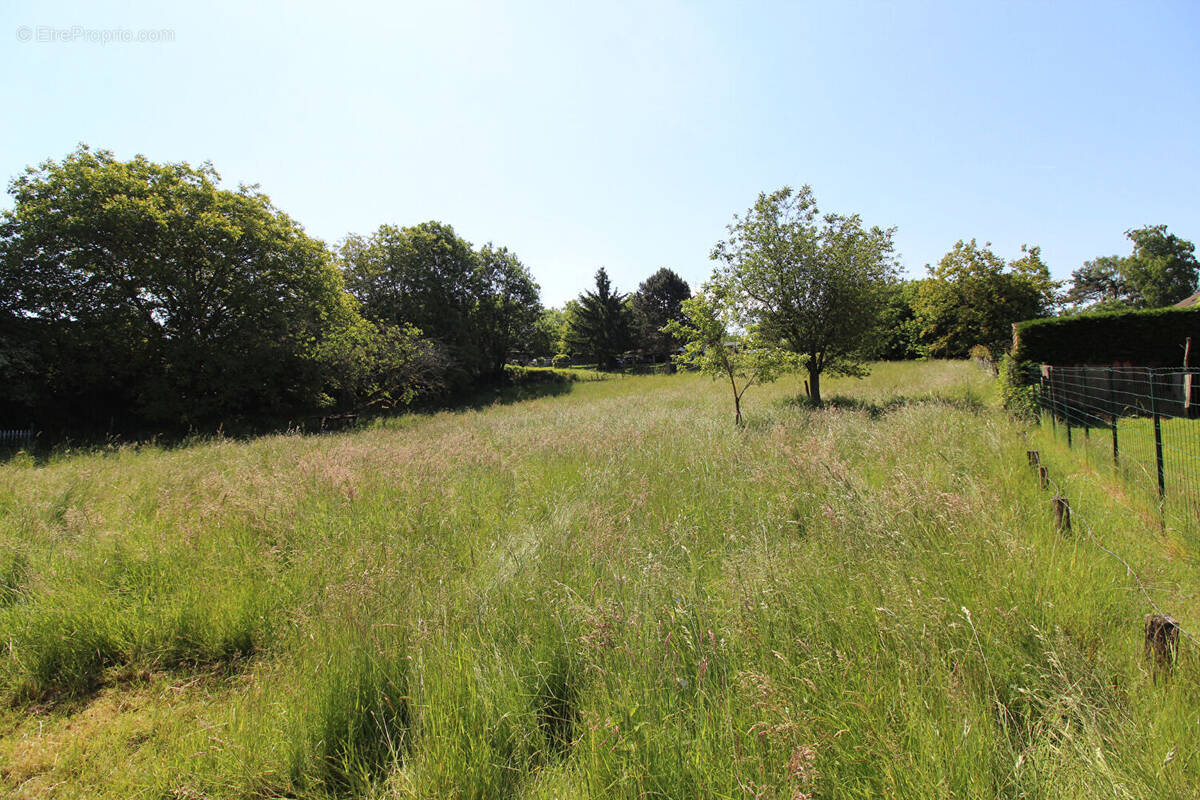 Terrain à SAINT-AMOUR