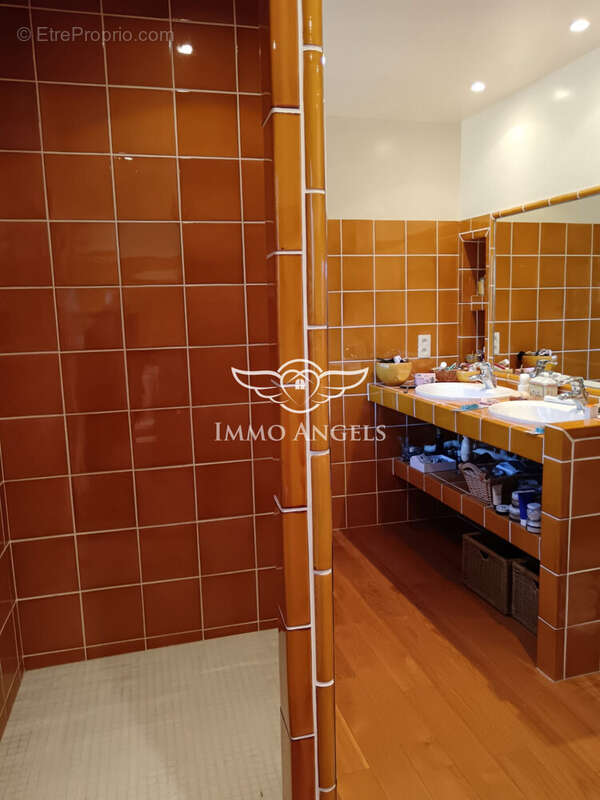 Maison 240 m² à Viols-En-Laval  - photo 9
