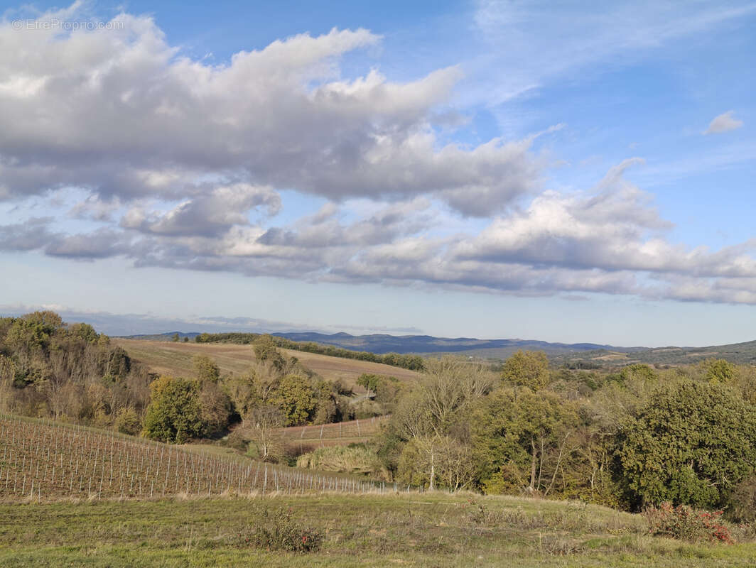 Terrain à VILLAR-SAINT-ANSELME
