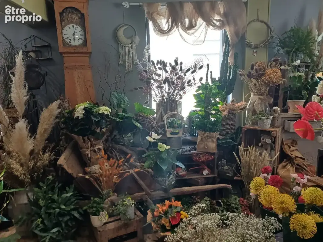 Vente fleuriste empl n° 1 ville dynamique centre 76 à 15 m de Dieppe - photo 5