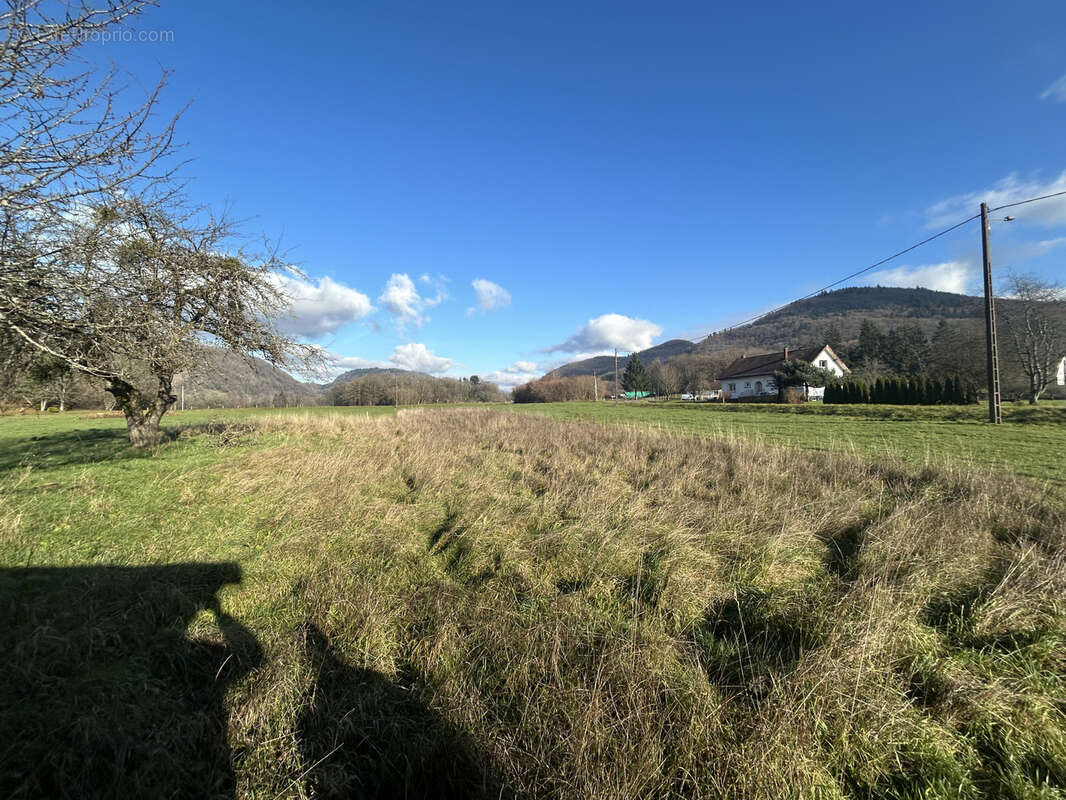 Maison à TERNUAY-MELAY-ET-SAINT-HILAIRE