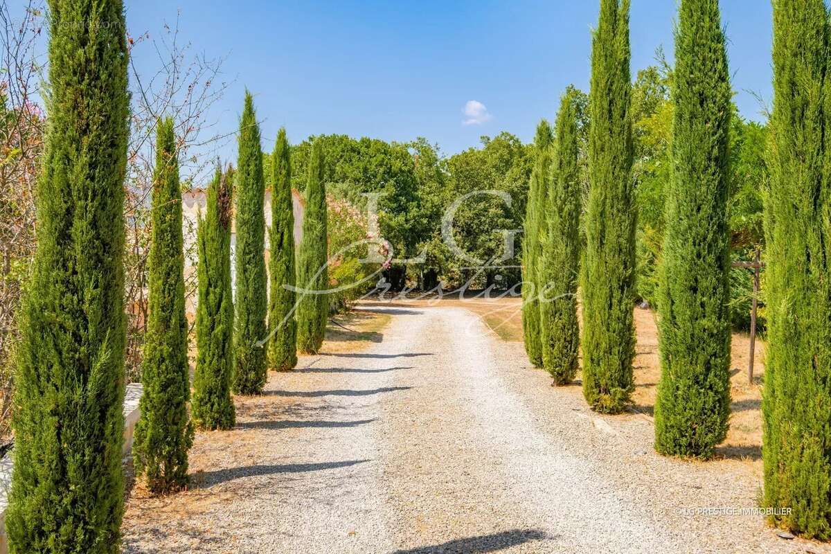 Villa de plain-pied avec piscine avec 5 000 m² de terrain - photo 12