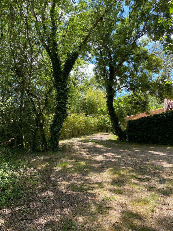 Maison à SALLERTAINE