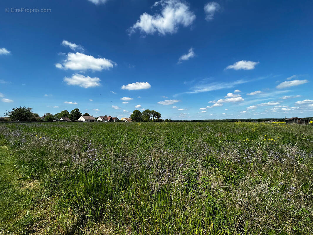 Terrain à SEPTEUIL