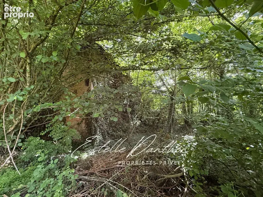Terrain à CHAMPIER